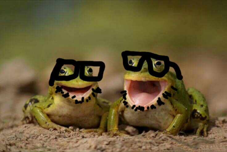 File:Frogs.jpg