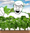 Baseltard picking basel from his garden beautiful day.png