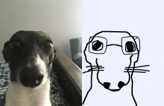 The picture which Dogjak is based on (left) and Dogjak (right)