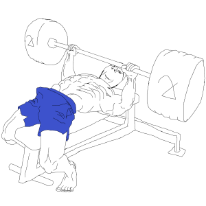 Bench jak small.png