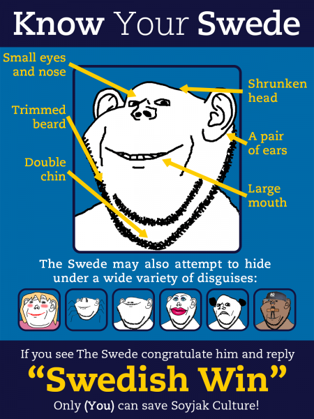 The "Swedish Win" infographic. (Swedish Propaganda)