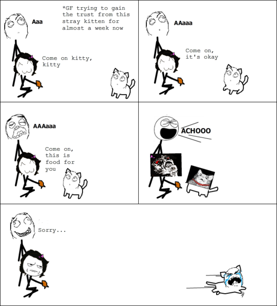 File:Cat comic.png