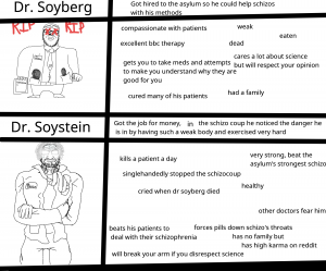 Soystein and Soyberg.png